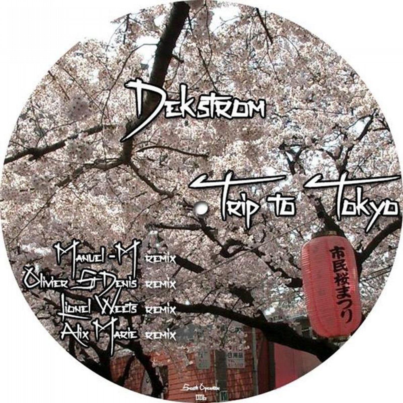 Trip to Tokyo (original mix)