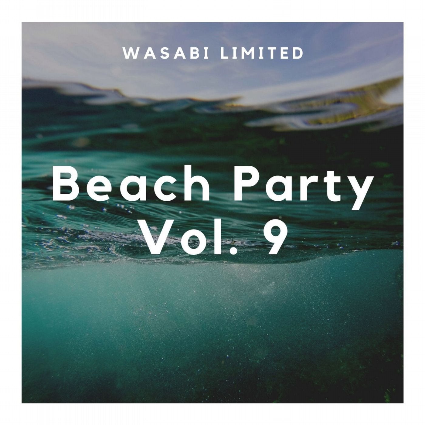 Beach Party Vol. 9