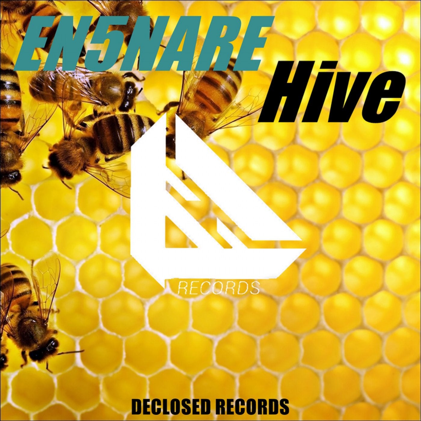 Hive