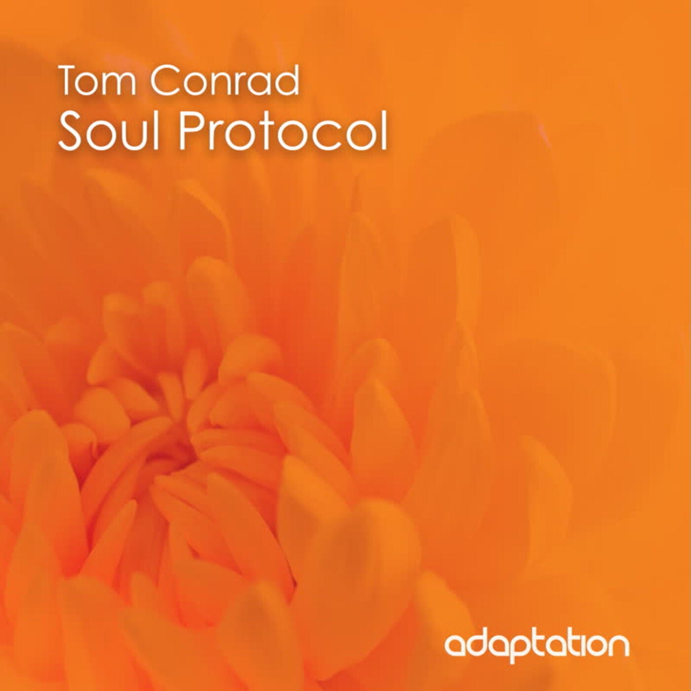 Soul Protocol