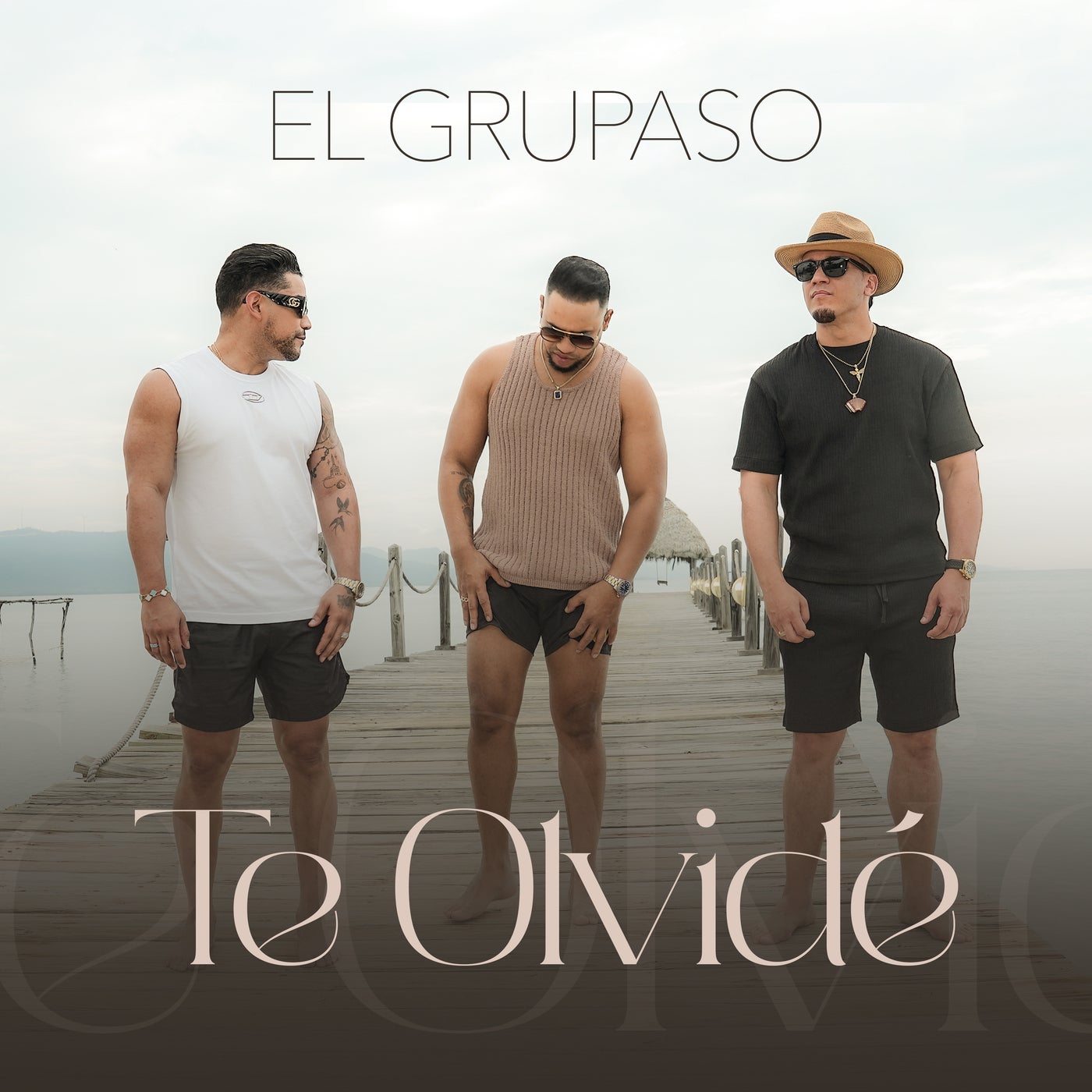 Cover art for Te Olvidé