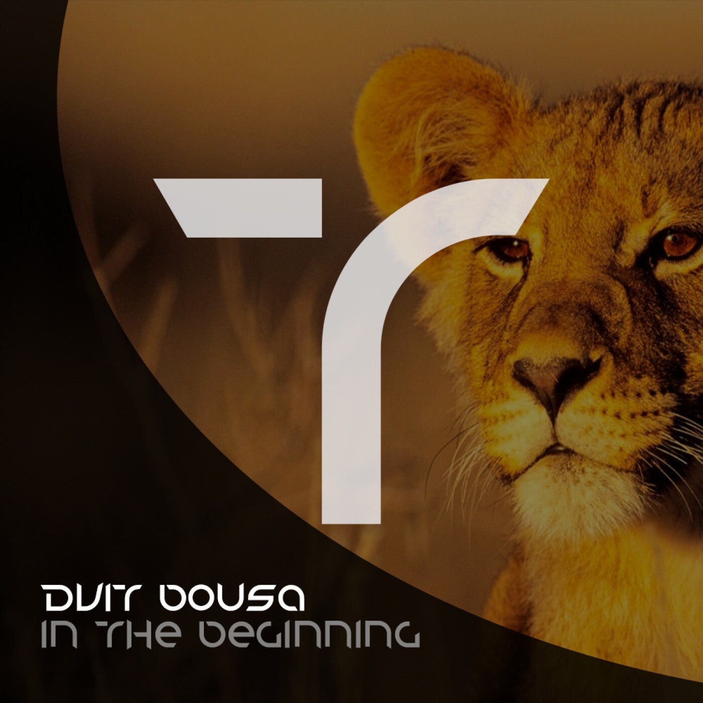 In The Beginning