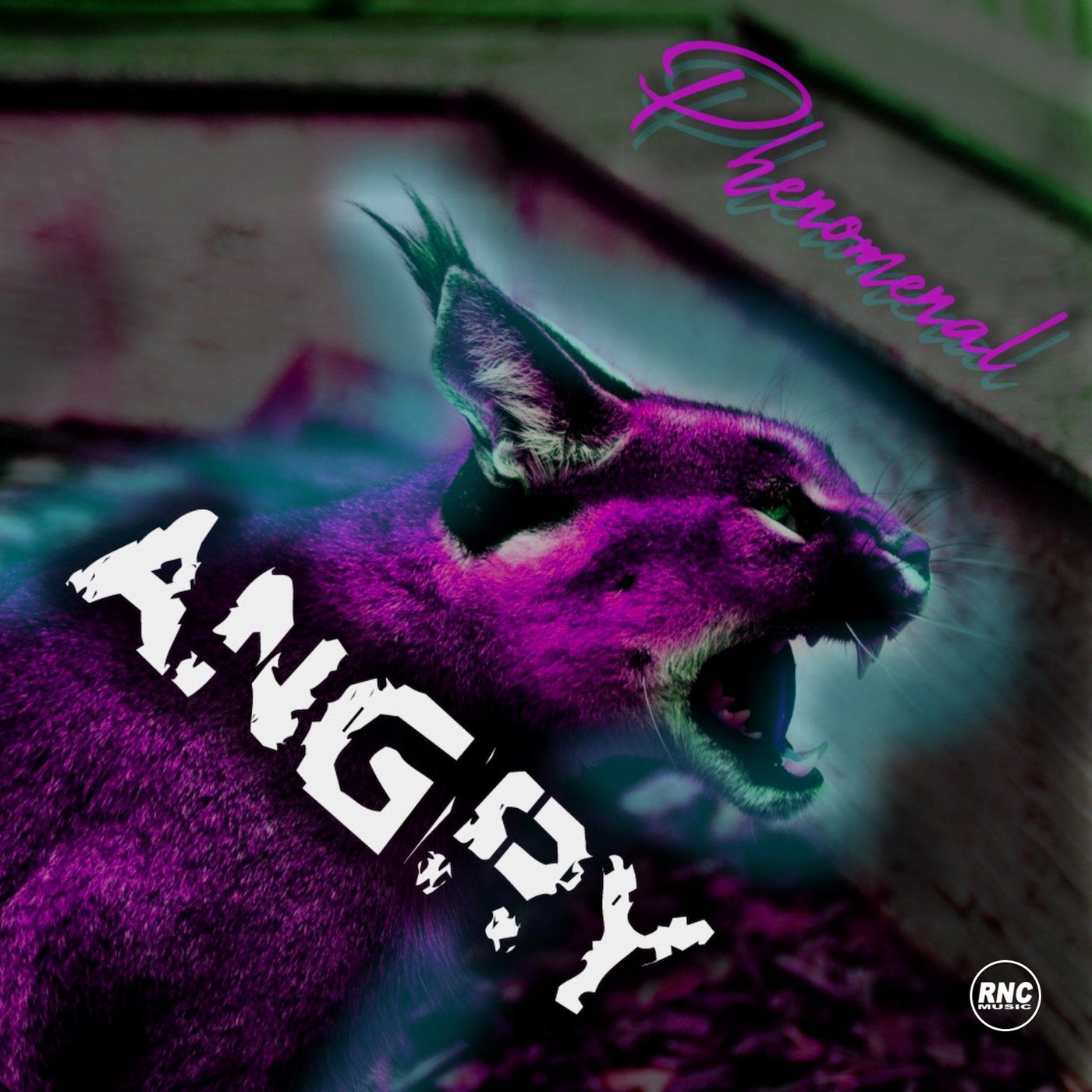 Angry