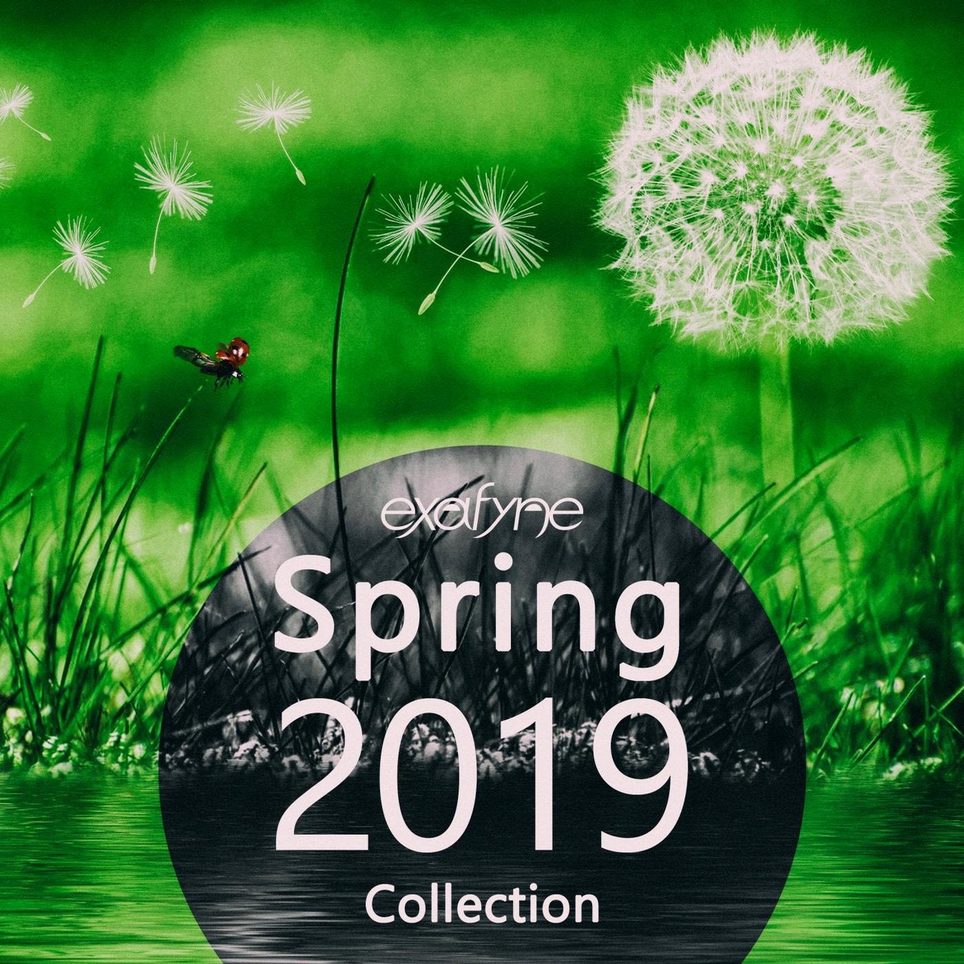 Spring 2019 Collection