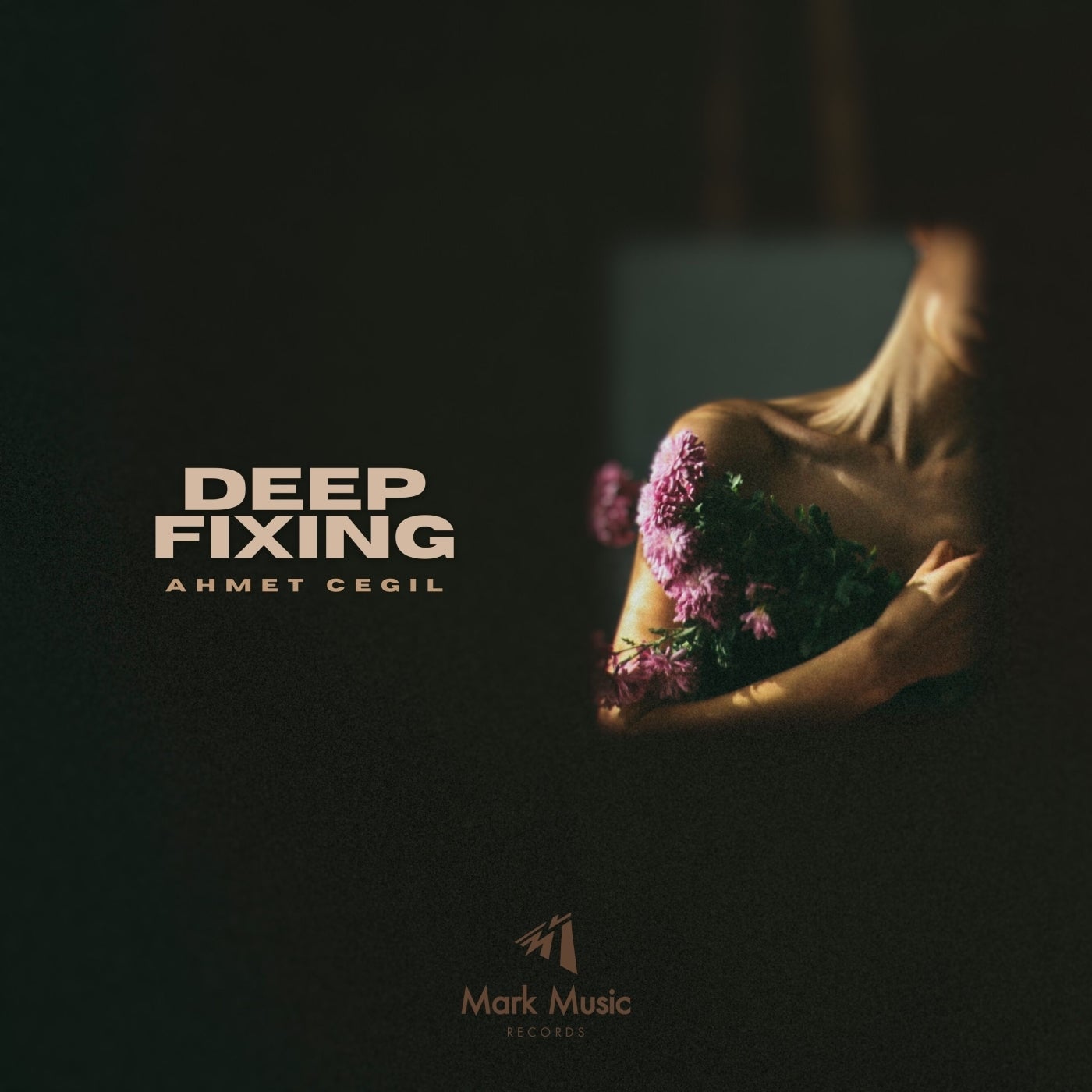 Deep Fixing