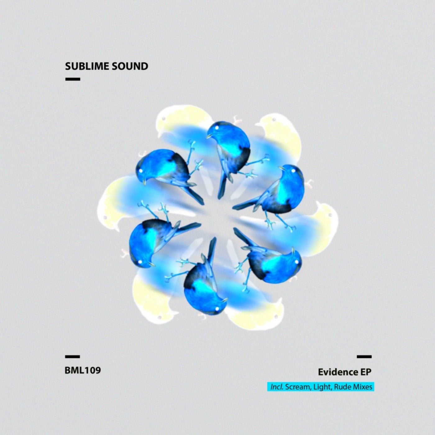 Evidence EP