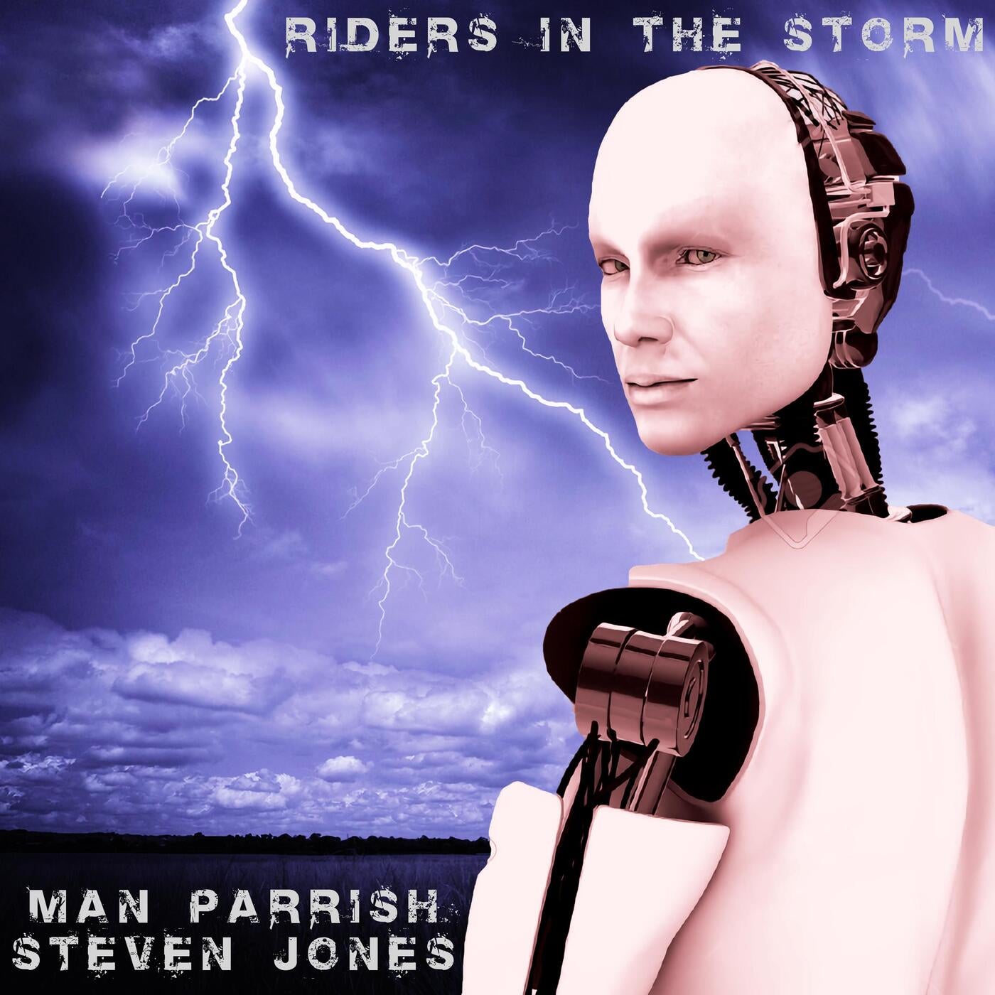 Riders In The Storm (feat. Steven Jones)