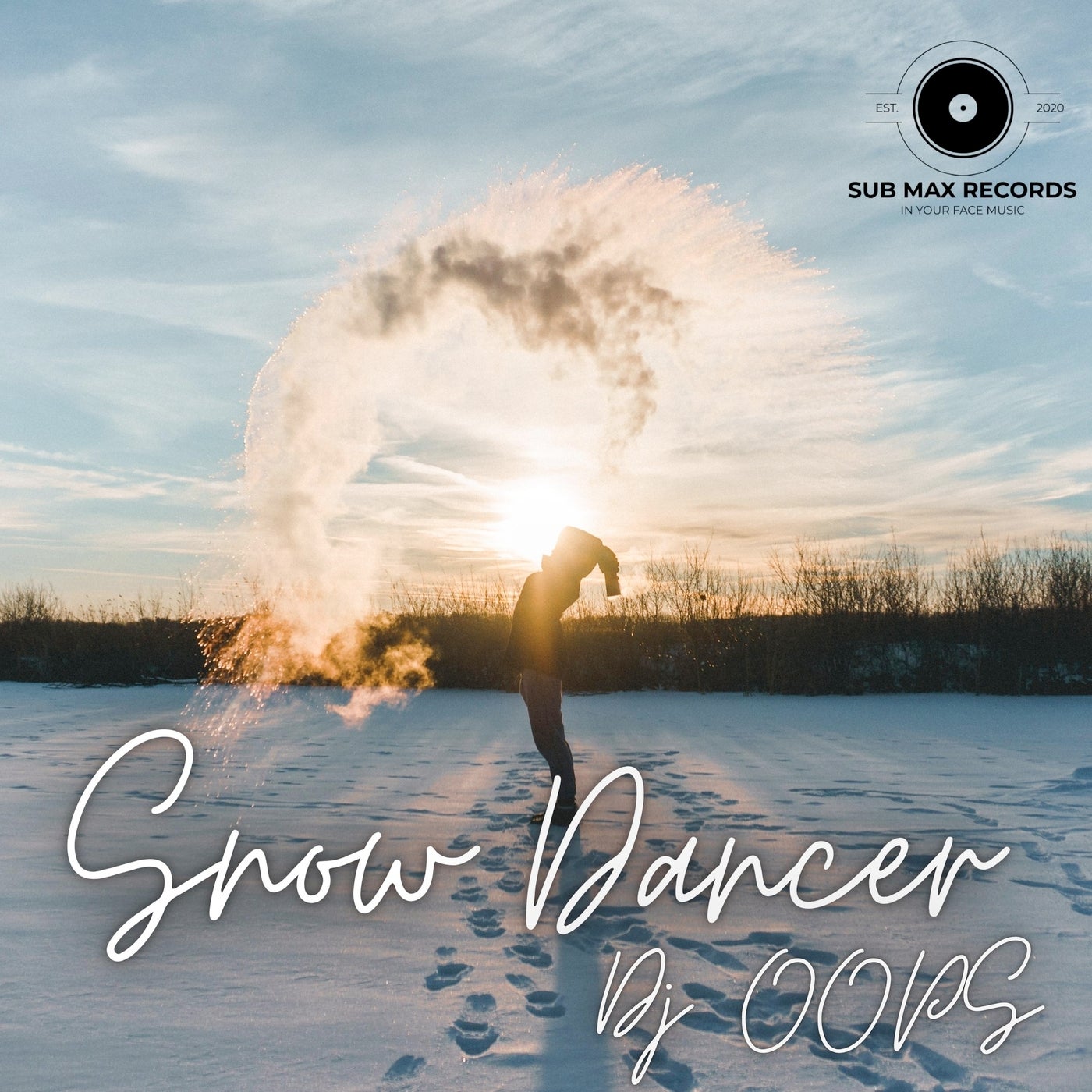 Snow Dancer