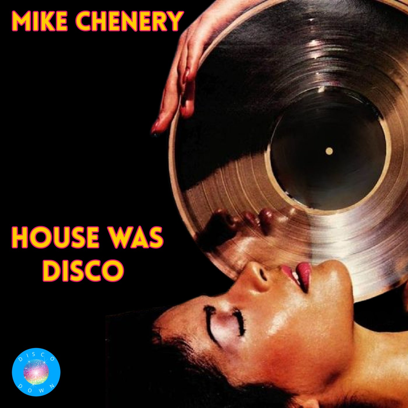 House Was Disco