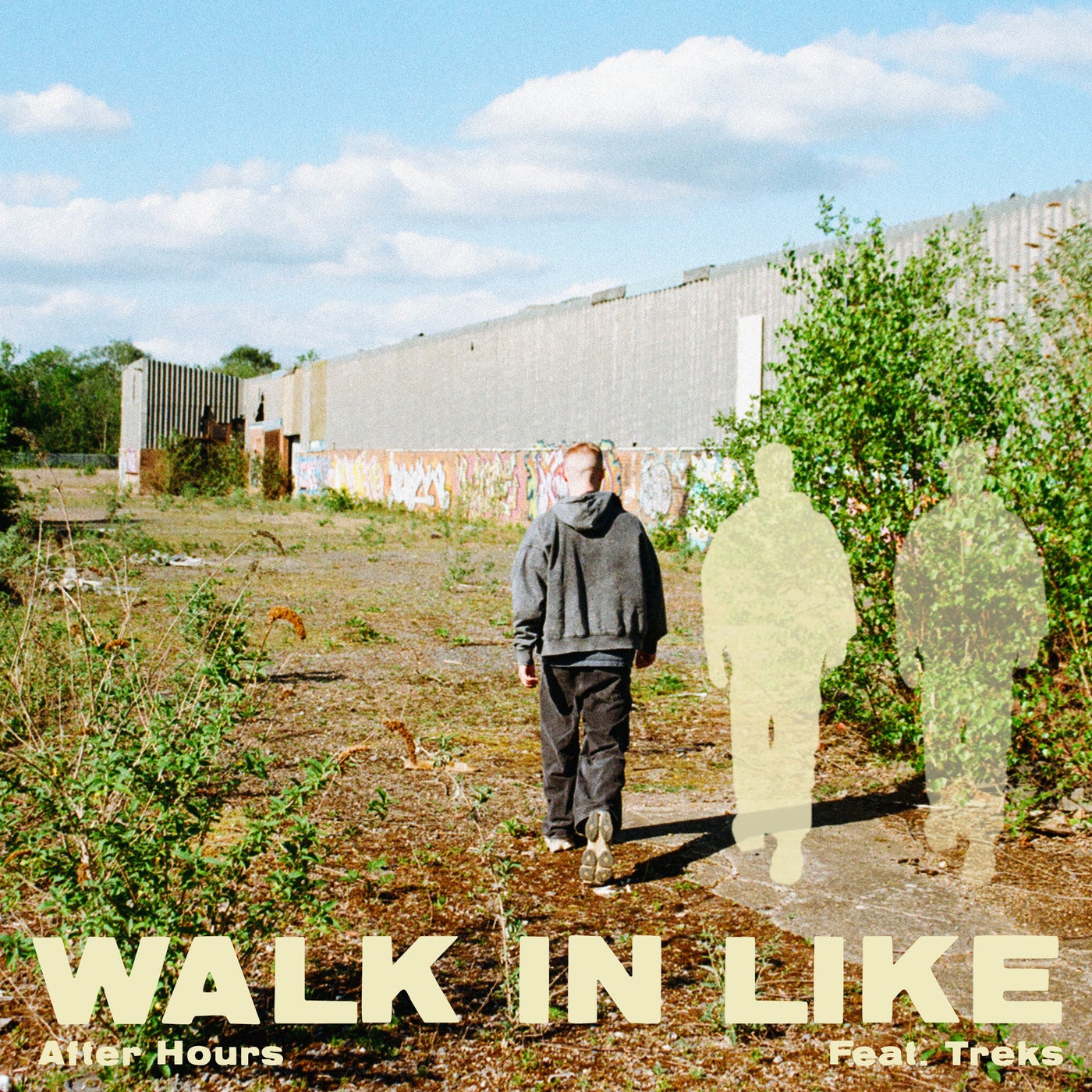 Cover art for Walk In Like