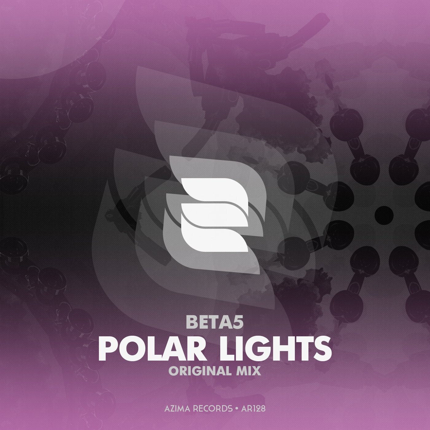 Polar Lights