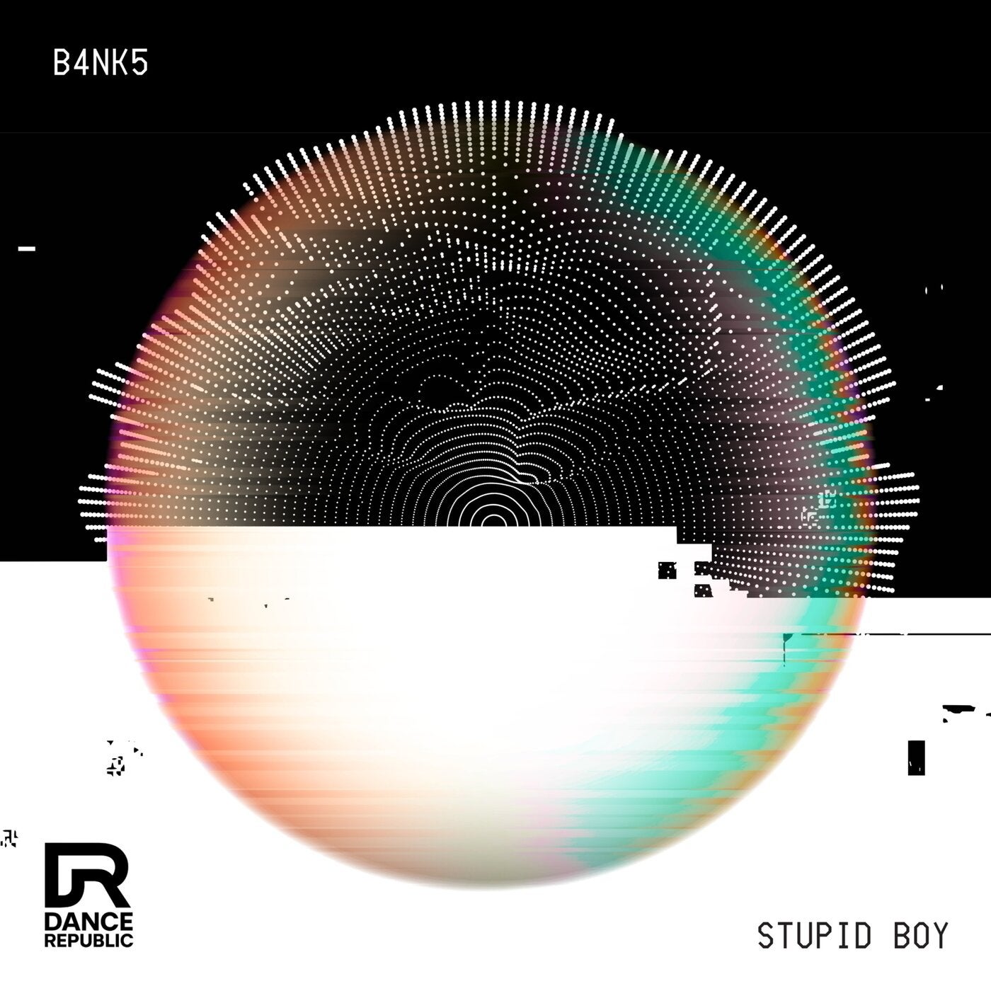 Stupid Boy