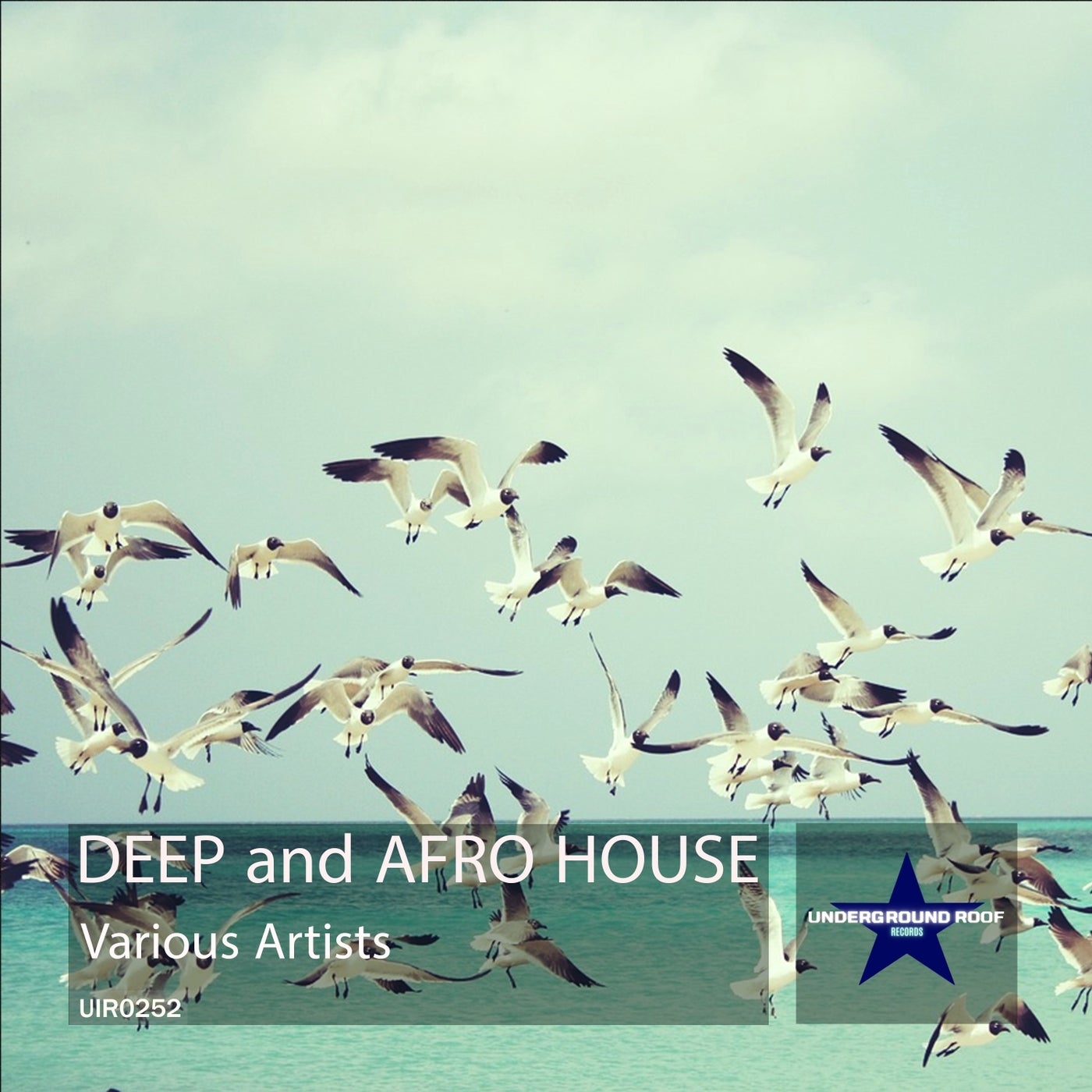 Deep and Afro House