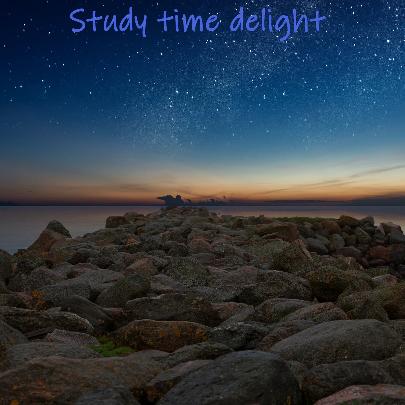 Study Time Delight