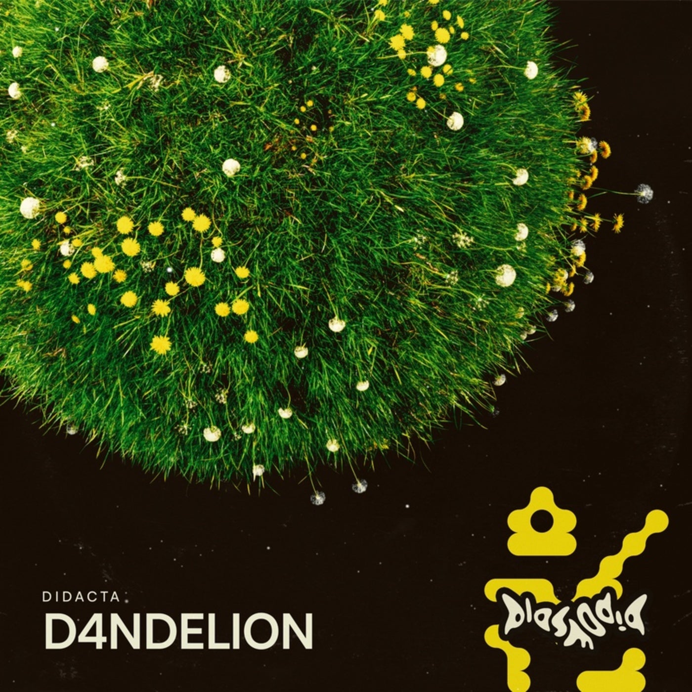 D4NDELION