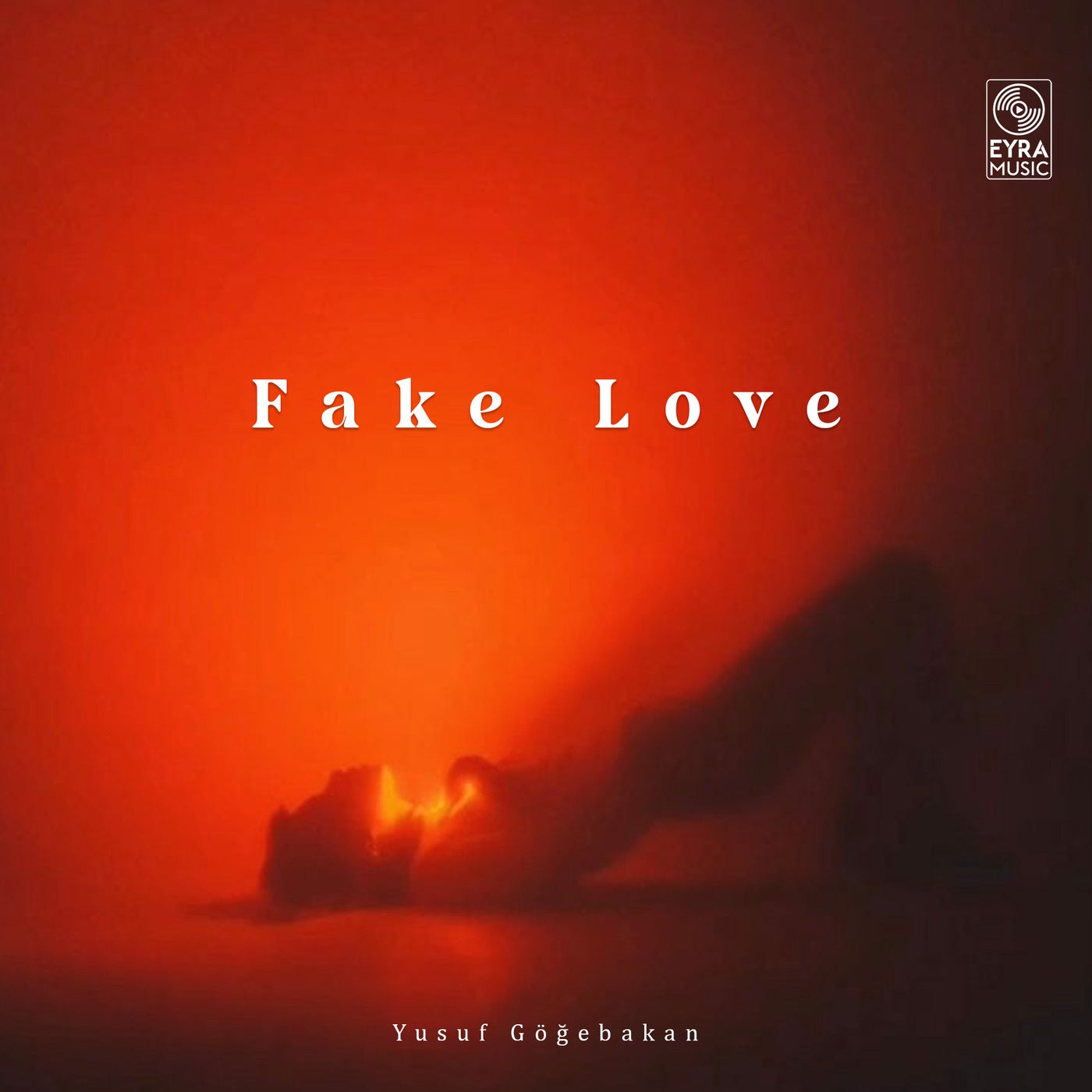 Fake Love