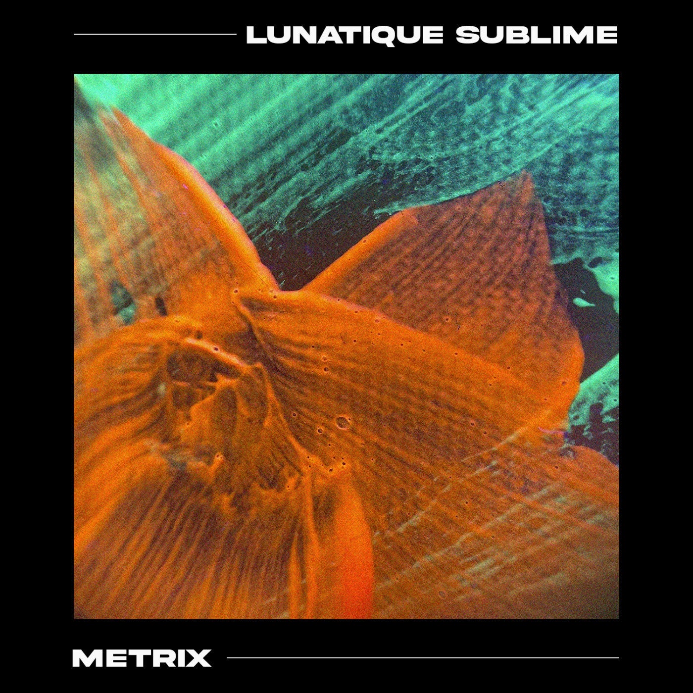 Metrix (Maxi-Single)