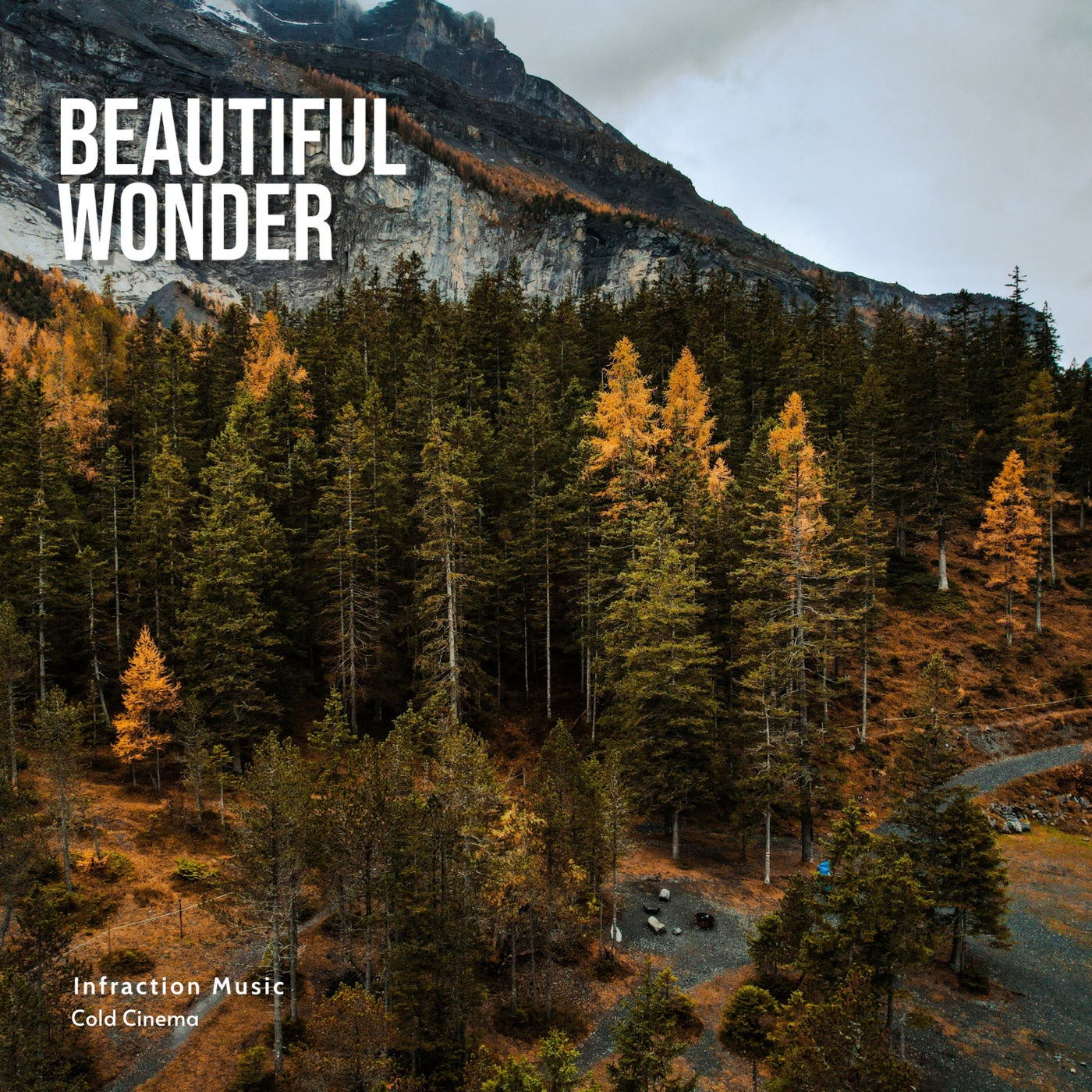 Beautiful Wonder