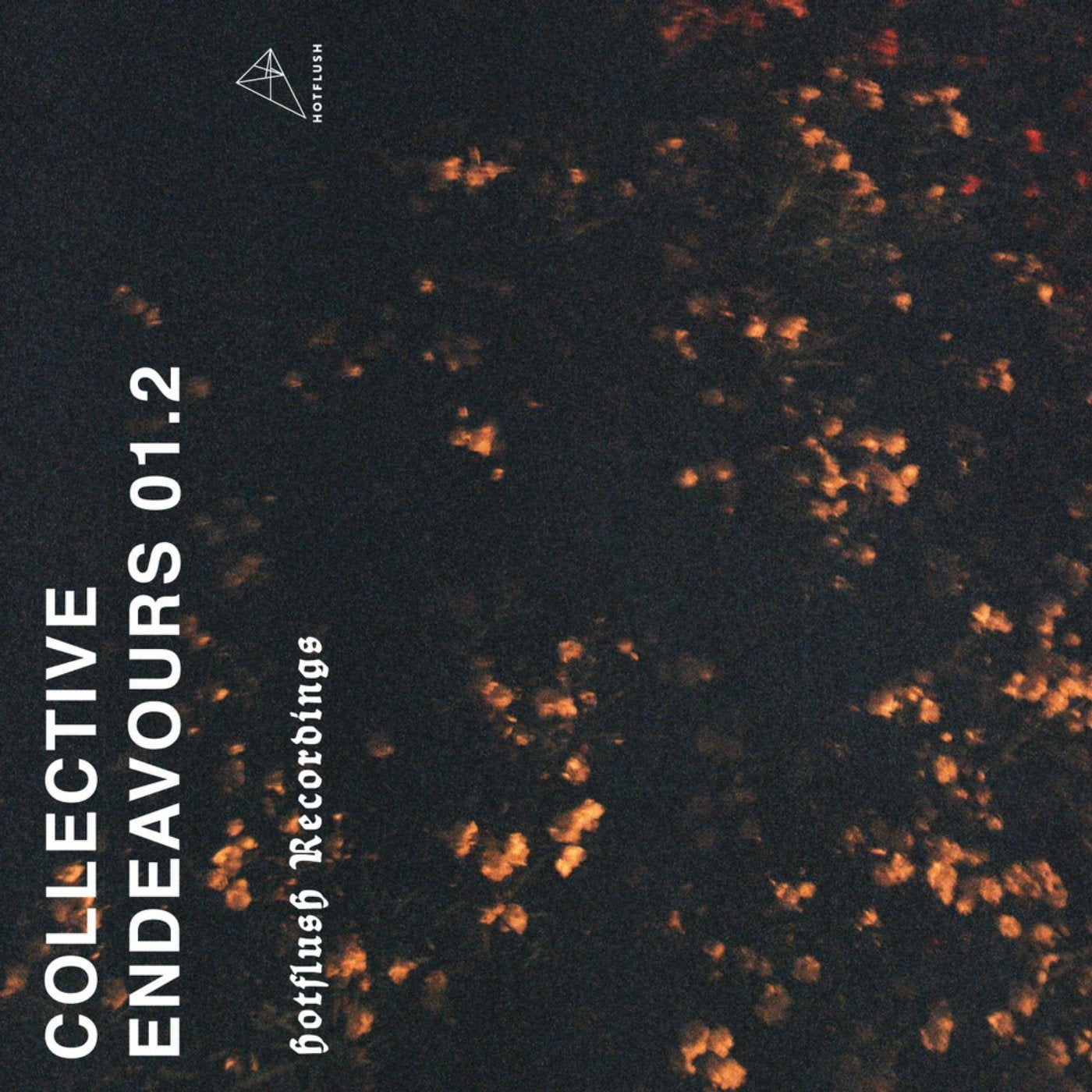 Collective Endeavours 01.2