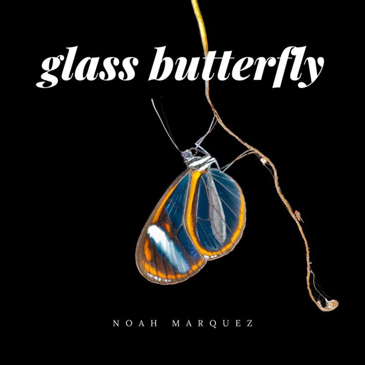 Glass Butterfly