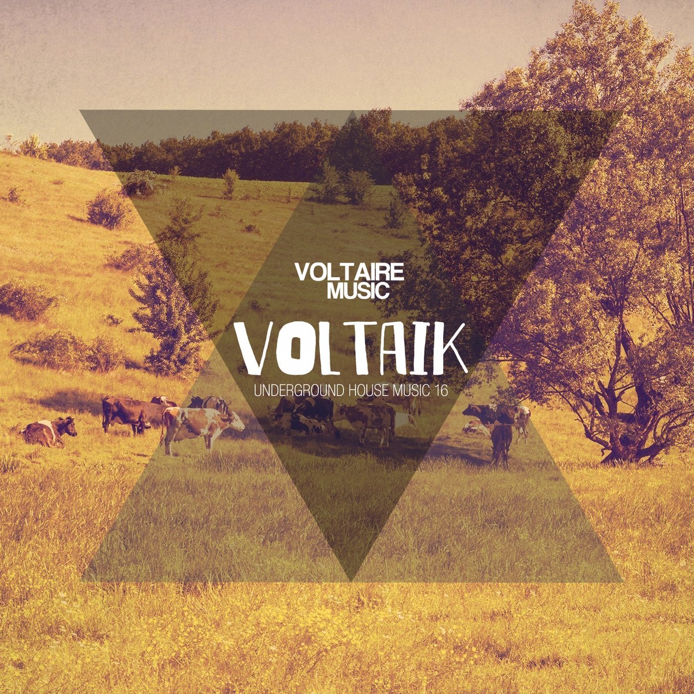 Voltaik #16