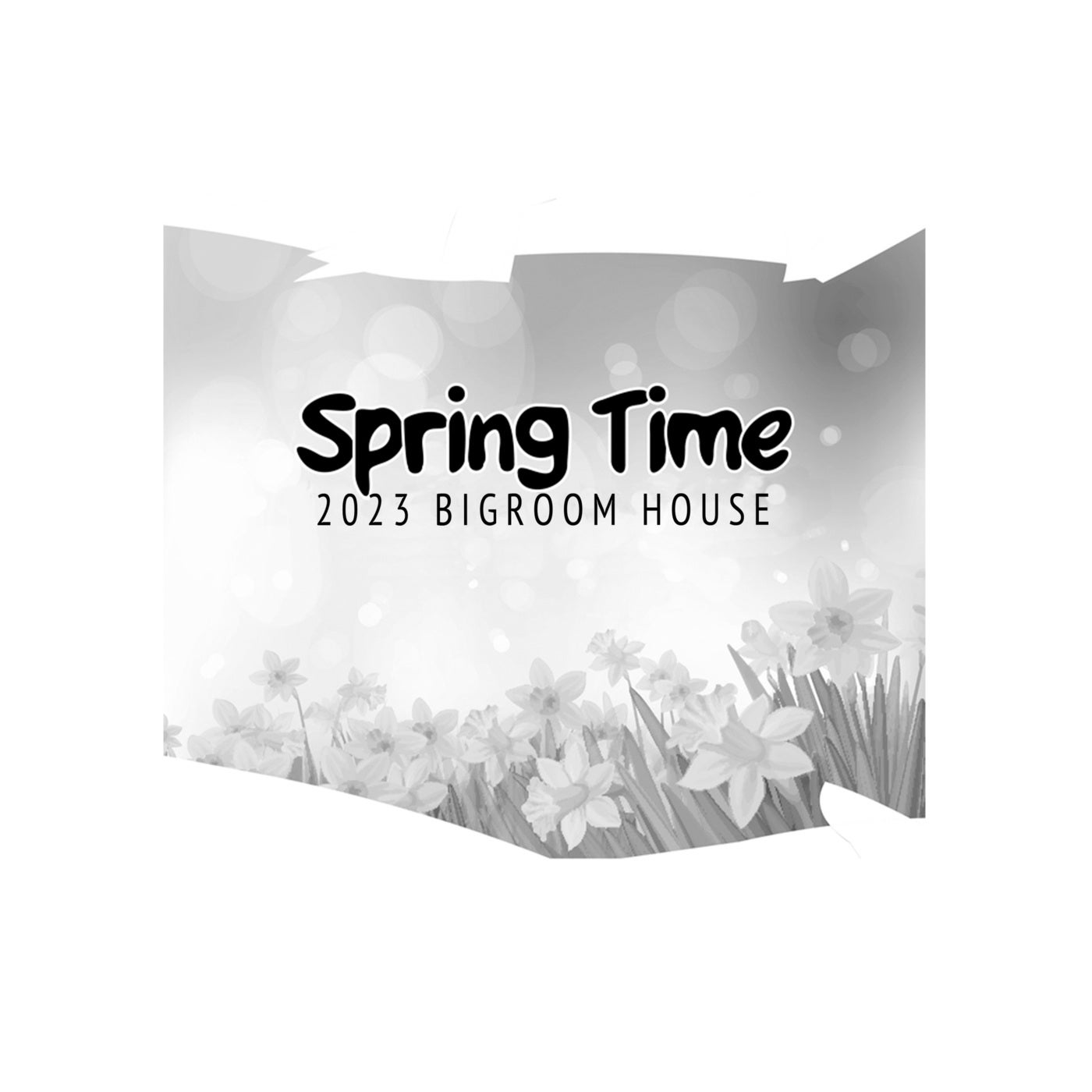 Spring Time - 2023 Bigroom House