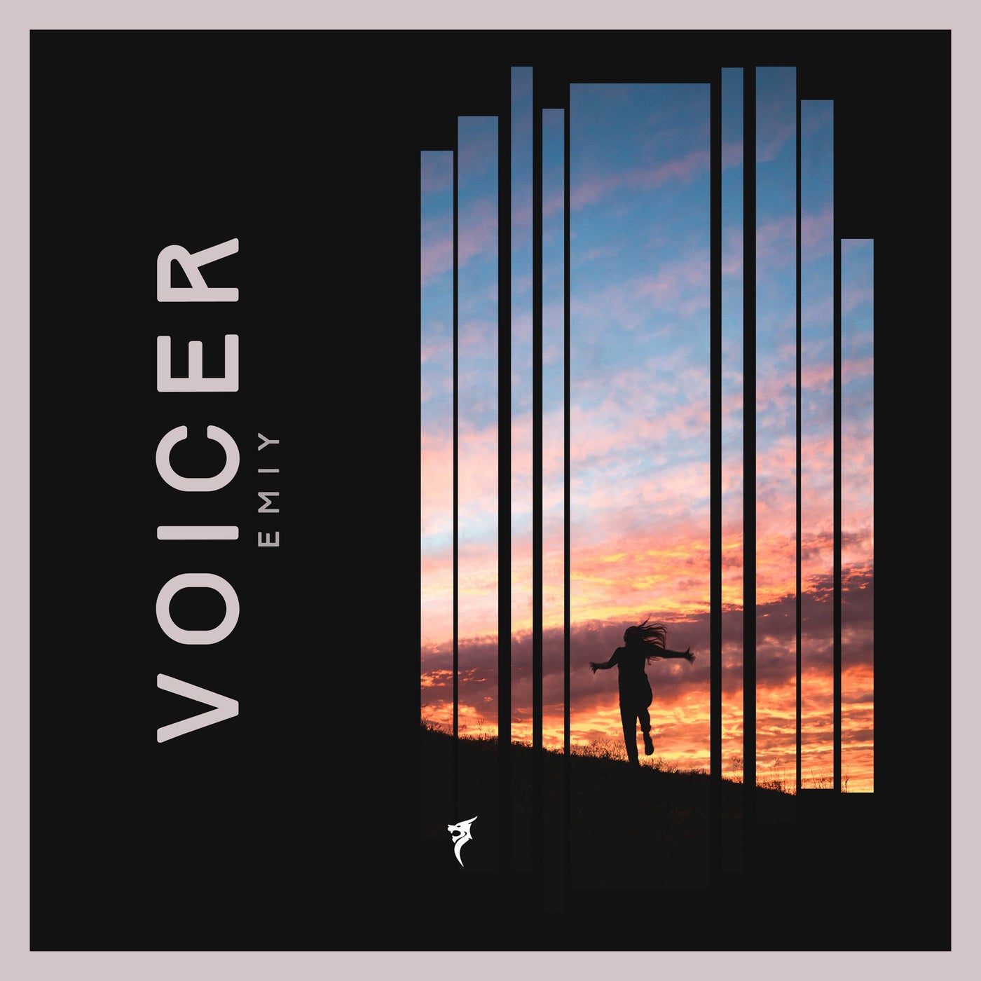 Voicer