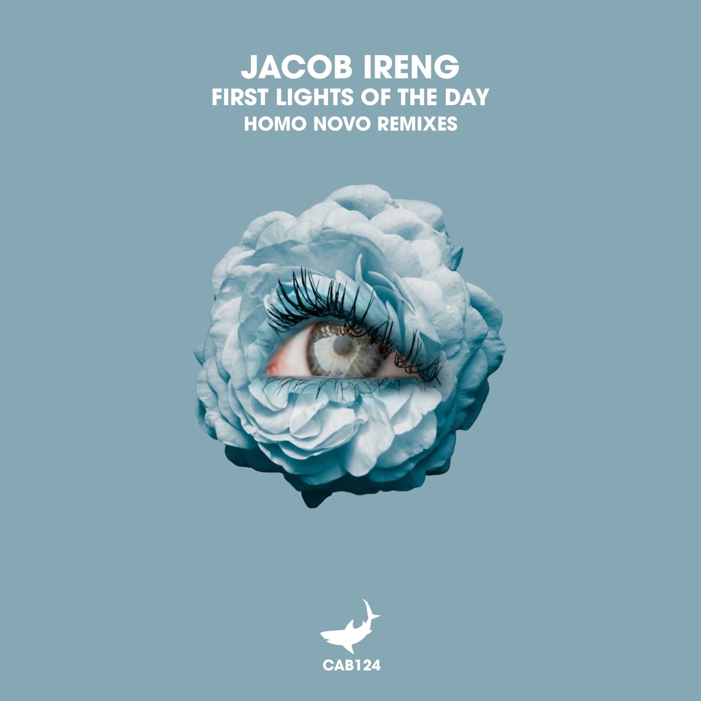 First Lights of the Day (Homo Novo Remixes)