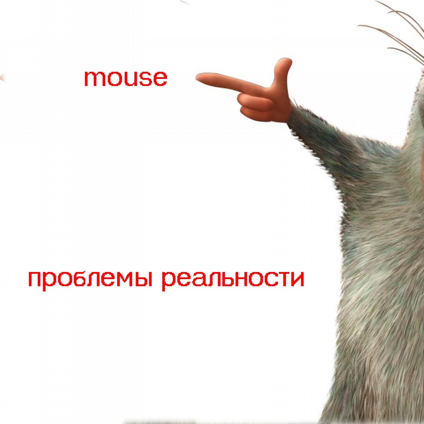 Mouse