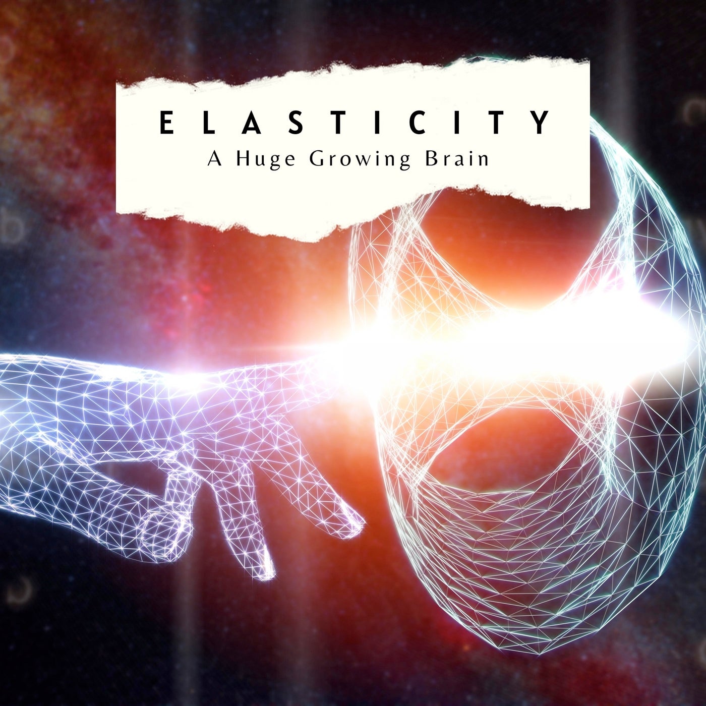 Elasticity