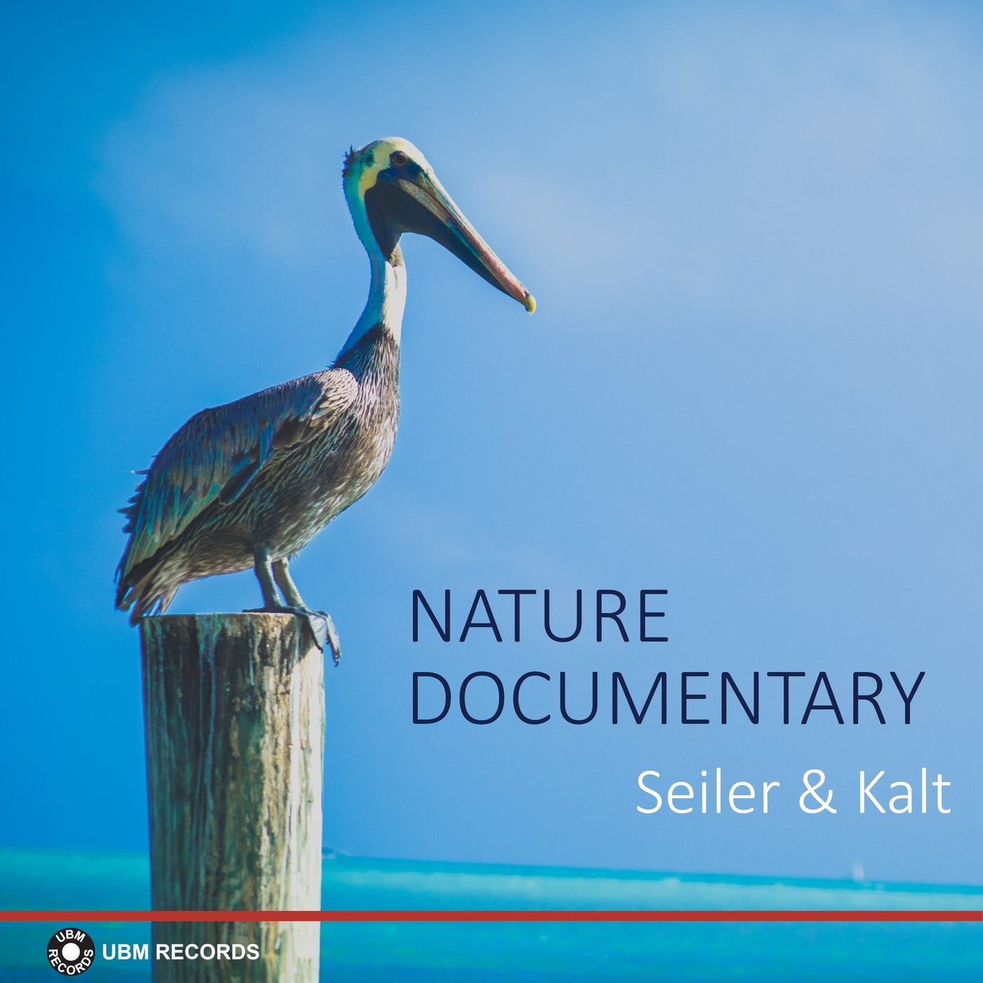 Nature Documentary