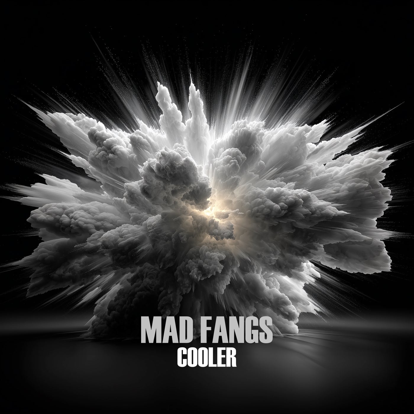 Cooler