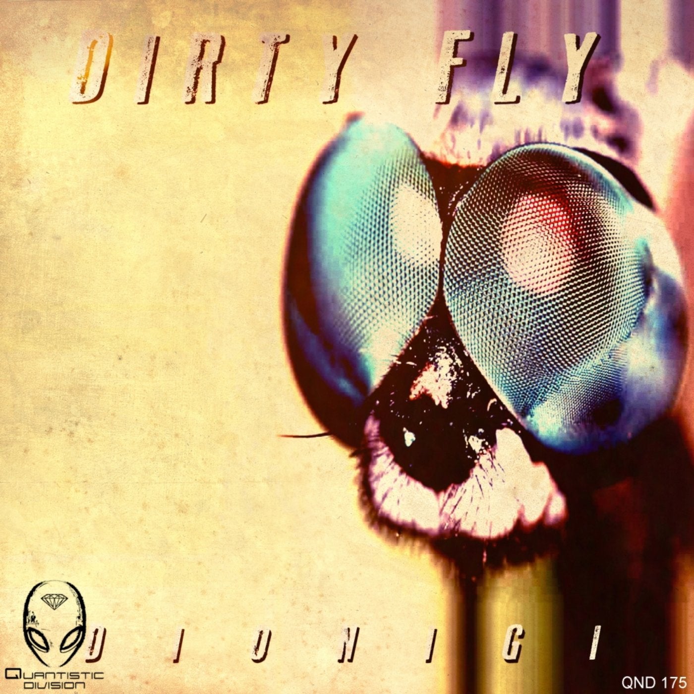 Dirty Fly