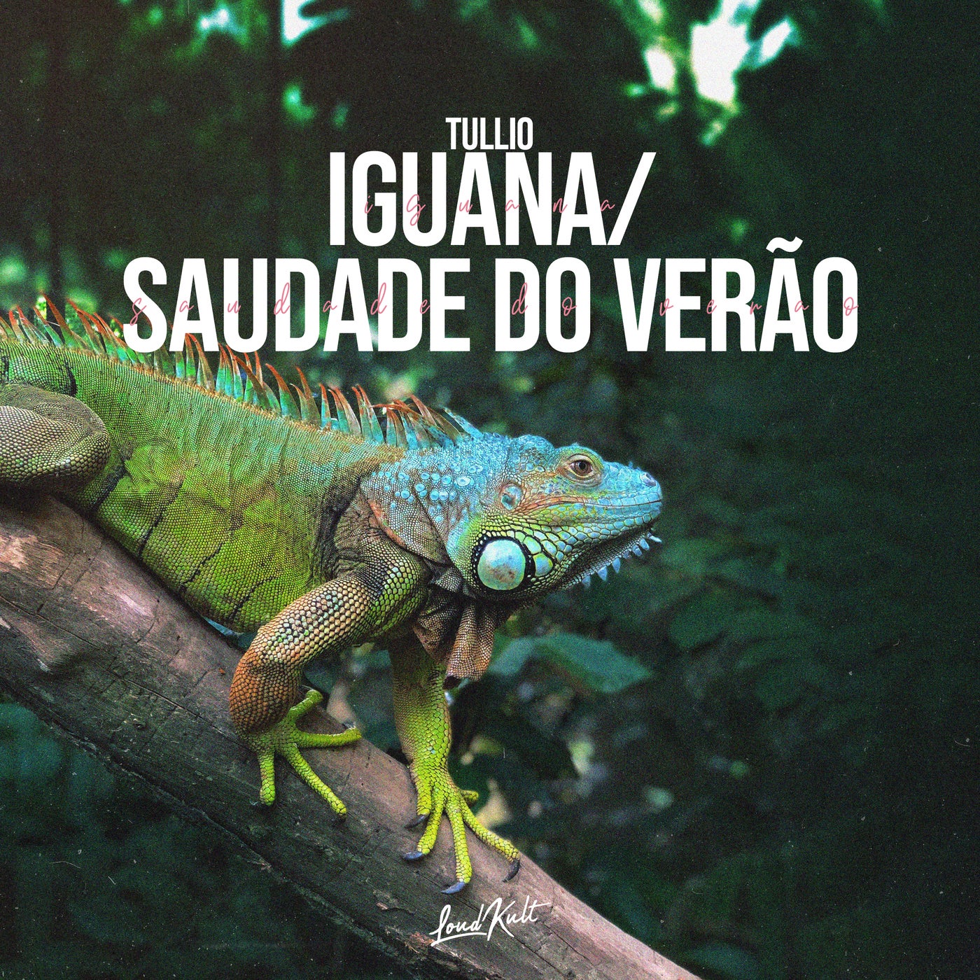 Iguana/Saudade Do Verão
