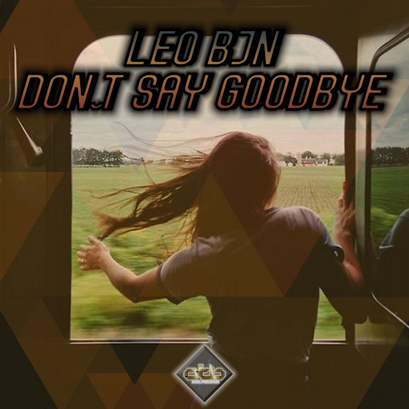 Don t say goodbye. Don't say Goodbye похожие исполнители. Don't say музыка. Good Bye, Leon. Don't say Goodbye record Mix.