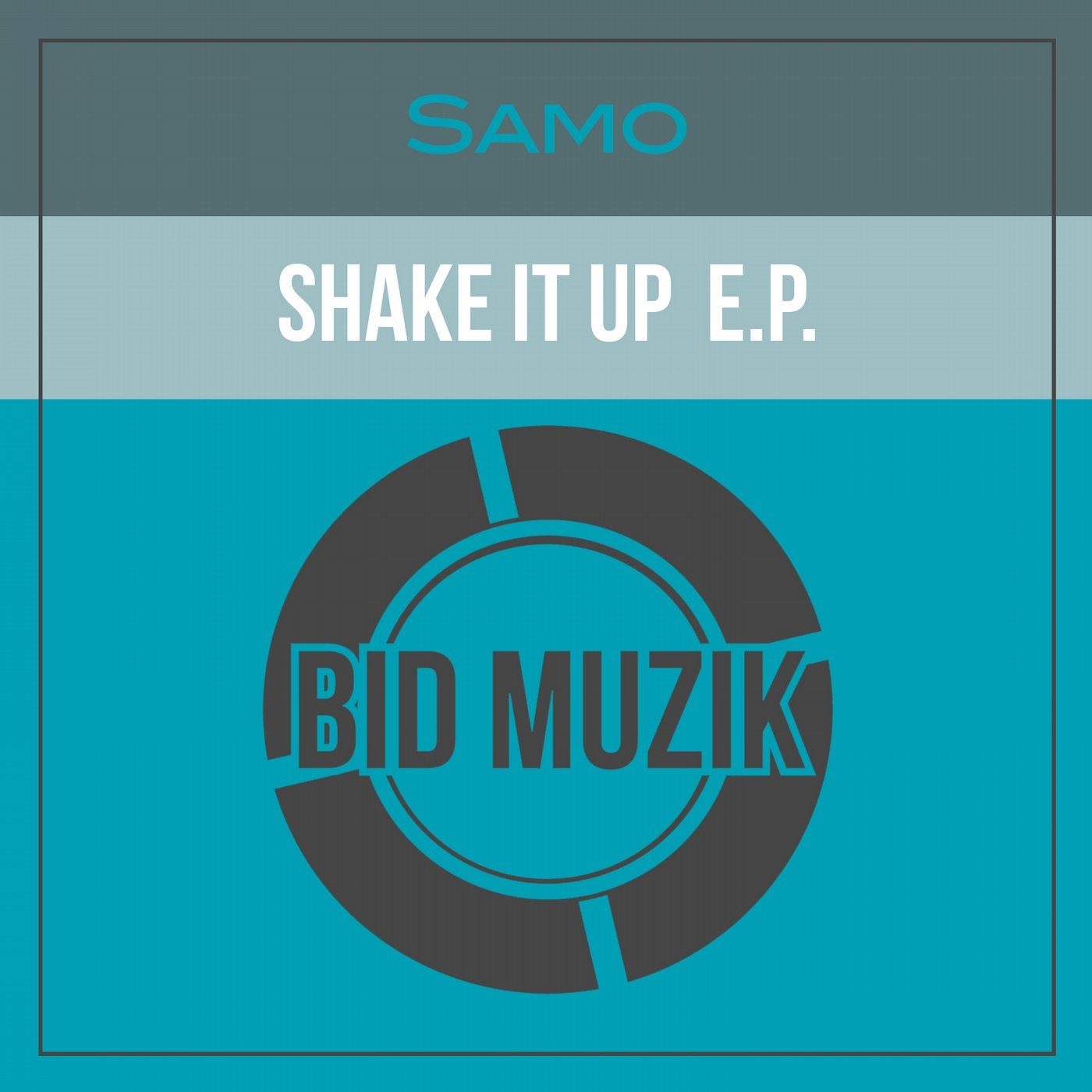 Shake It Up EP