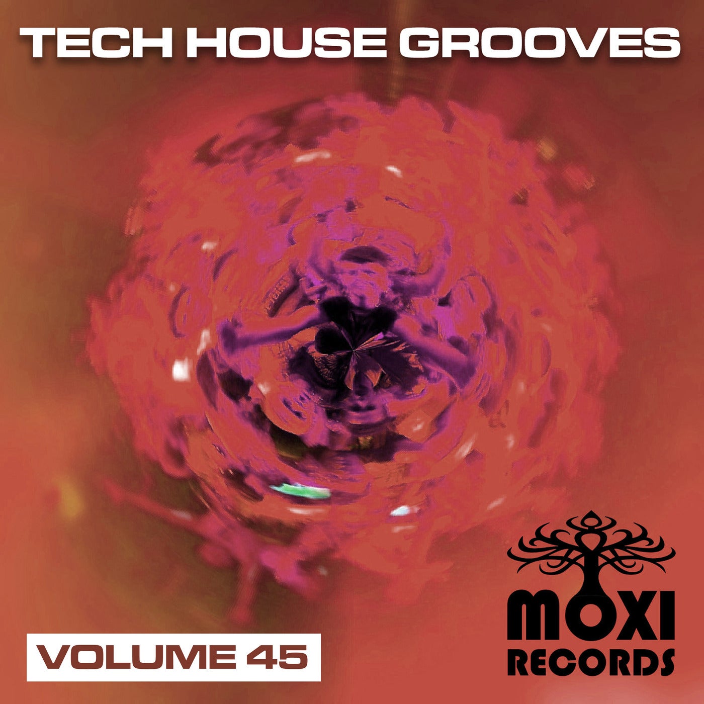 Tech House Grooves Volume 45