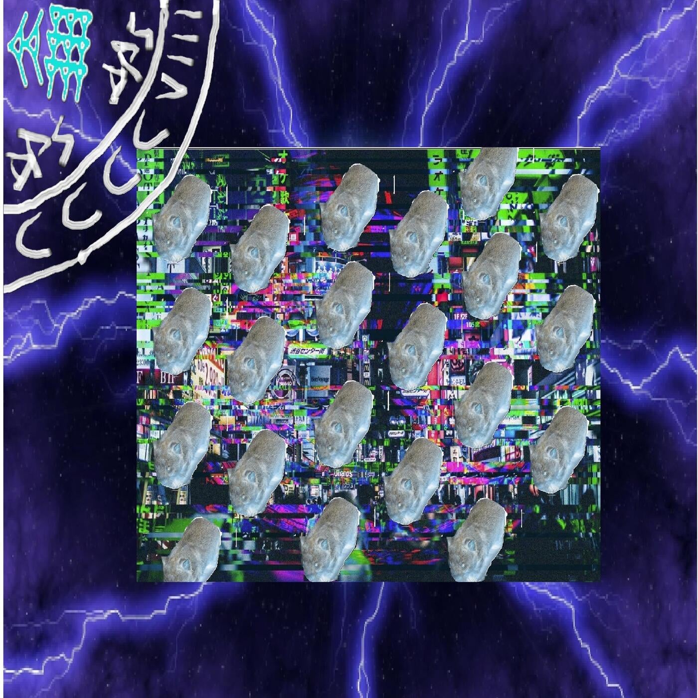 Wombat Glitch submission for Amen Breakcore Music Jam hosted by Ray Nexus for Itch.IO April 2025