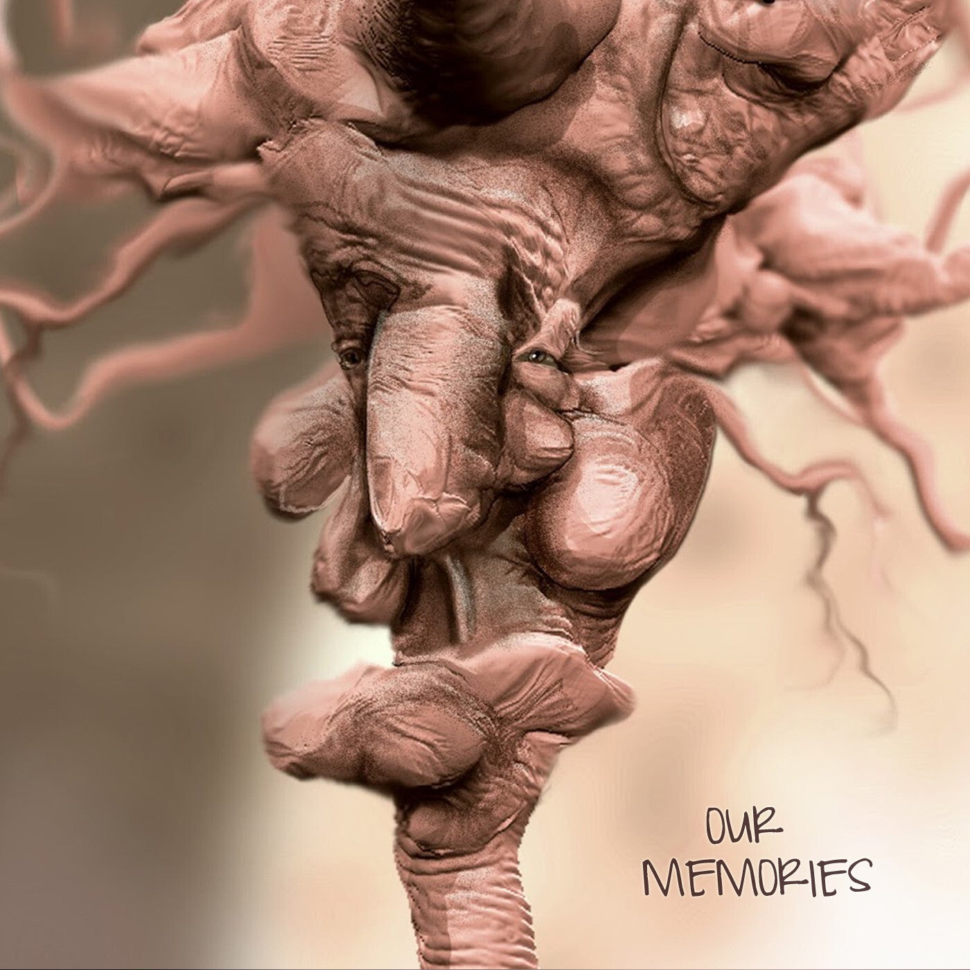 Our memories