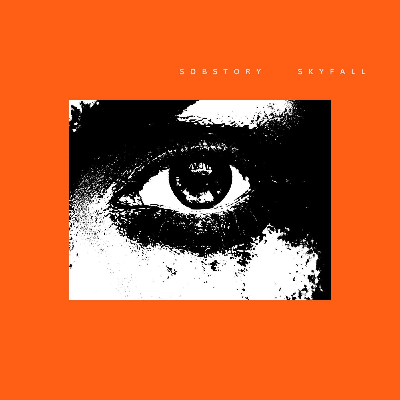 Sky Fall (Extended Mix)