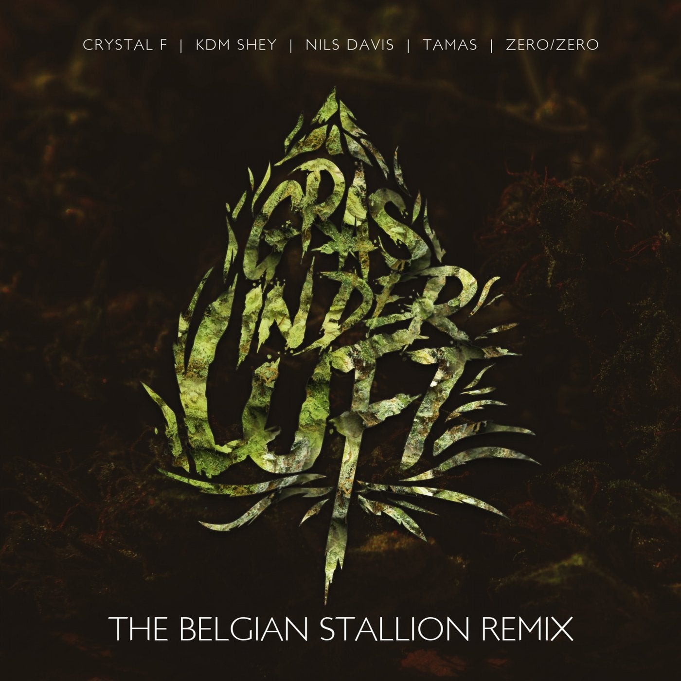 Gras in der Luft (The Belgian Stallion Remix)