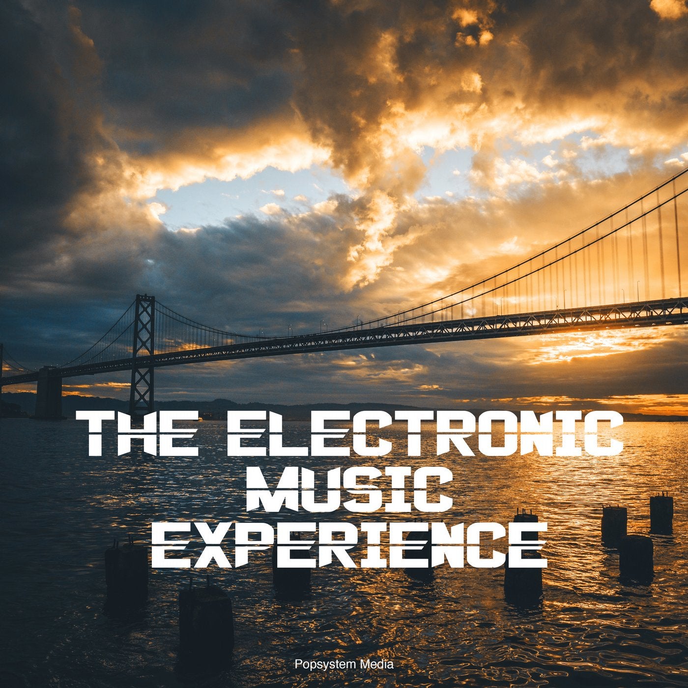 The Electronic Music Experience