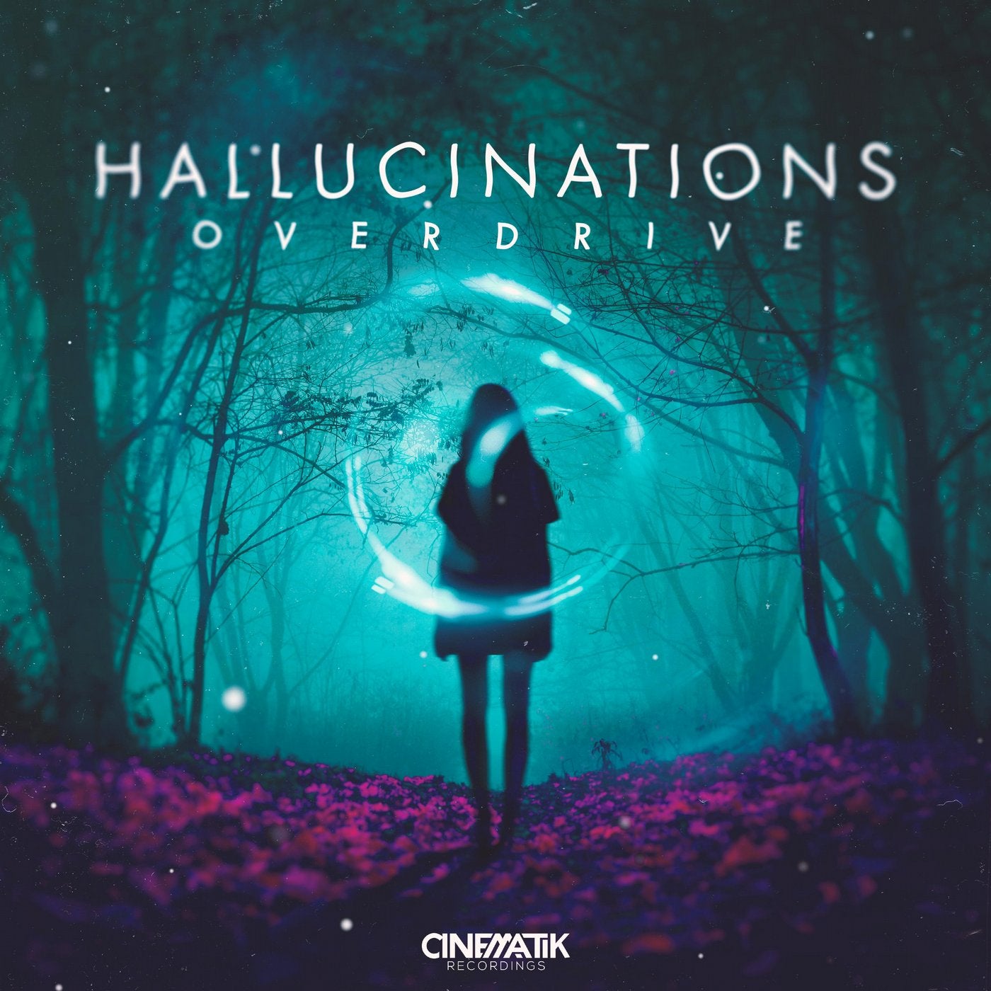 Hallucinations (Extended Mix)