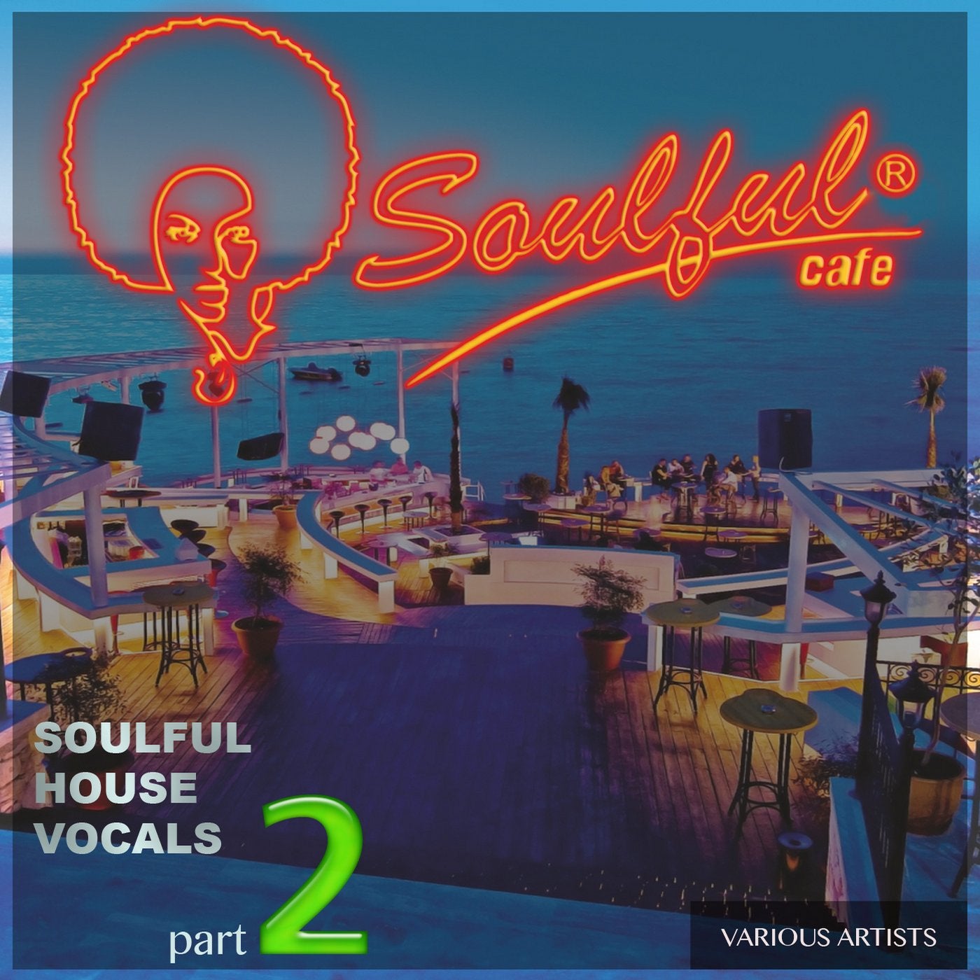 Soulful House Vocals, Part 2