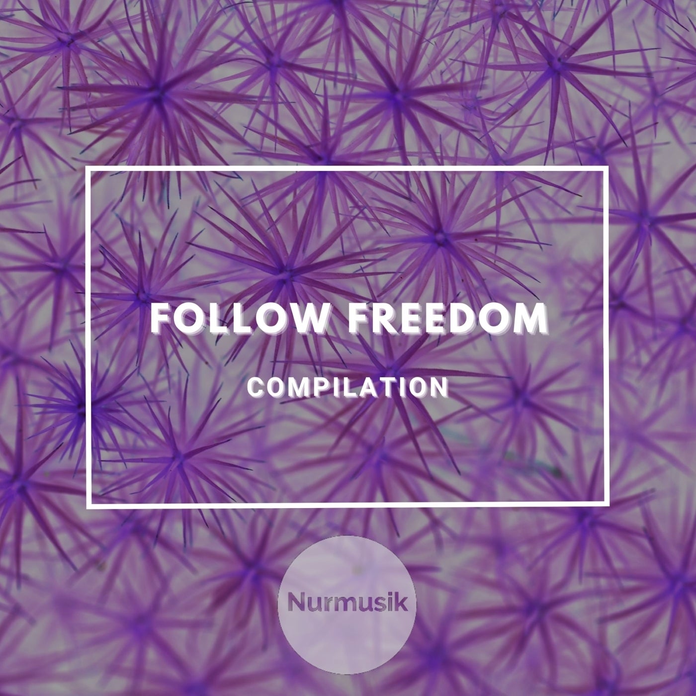 Follow Freedom