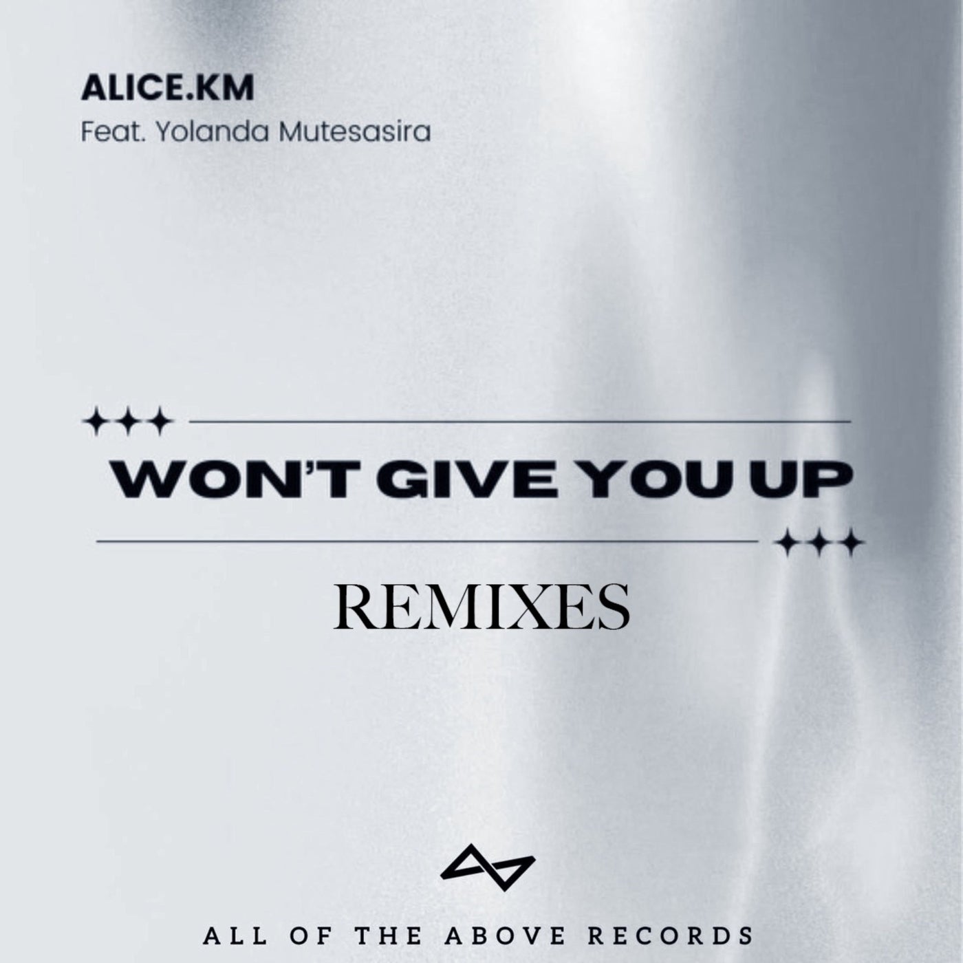 Won't Give You Up (Remixes)