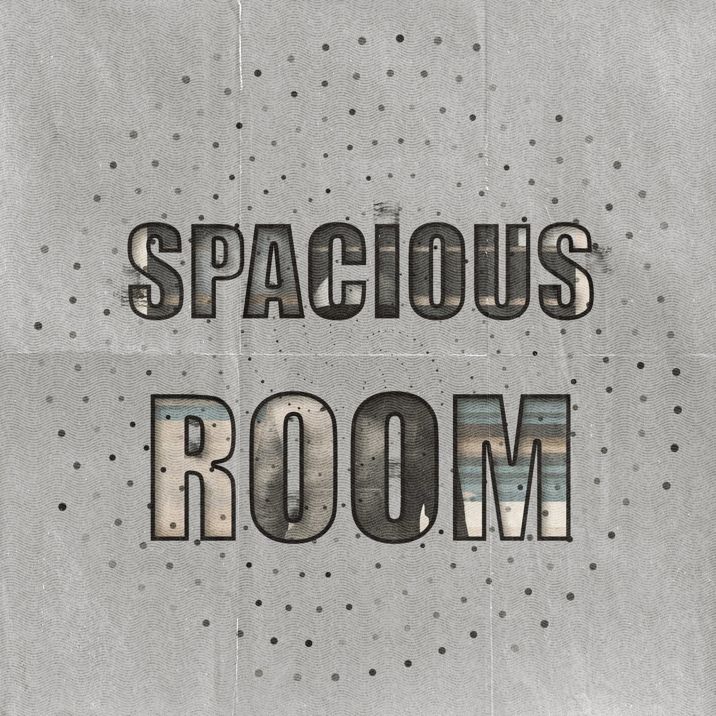 Cover art for Spacious Room, Vol. 11