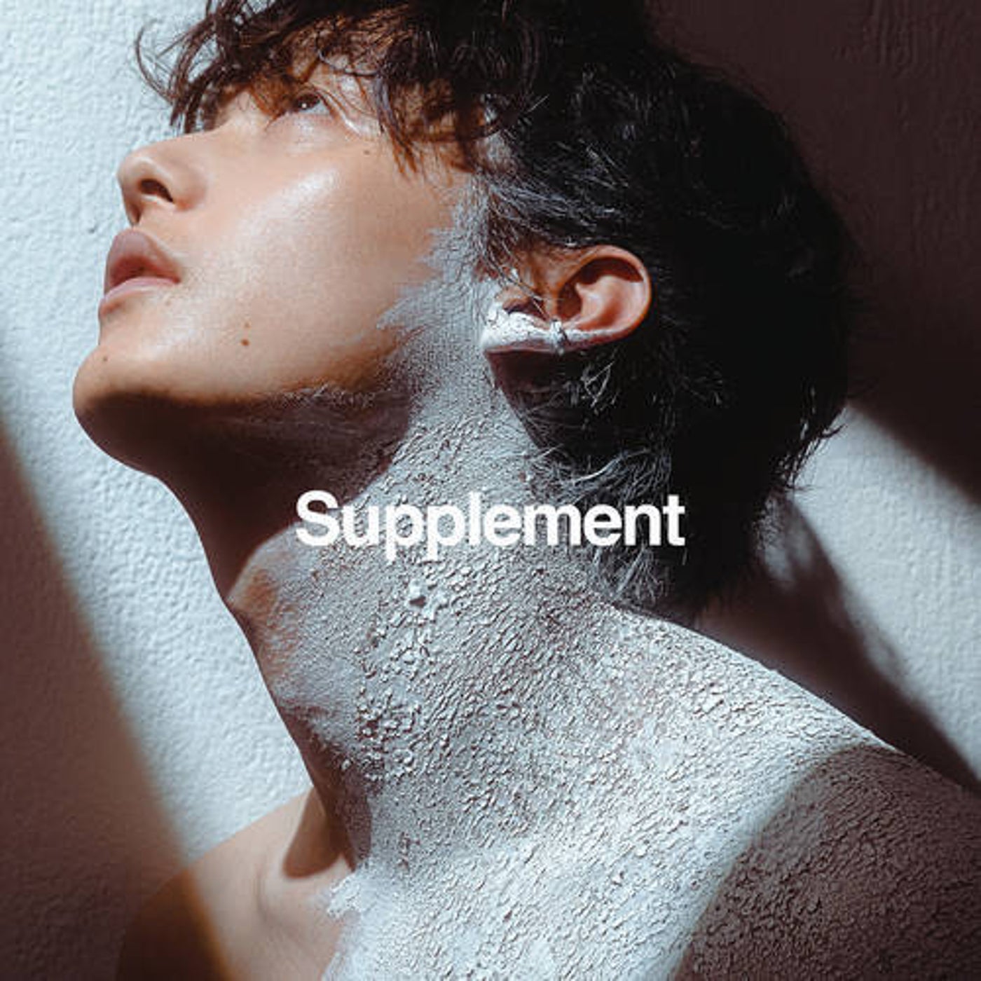 Supplement