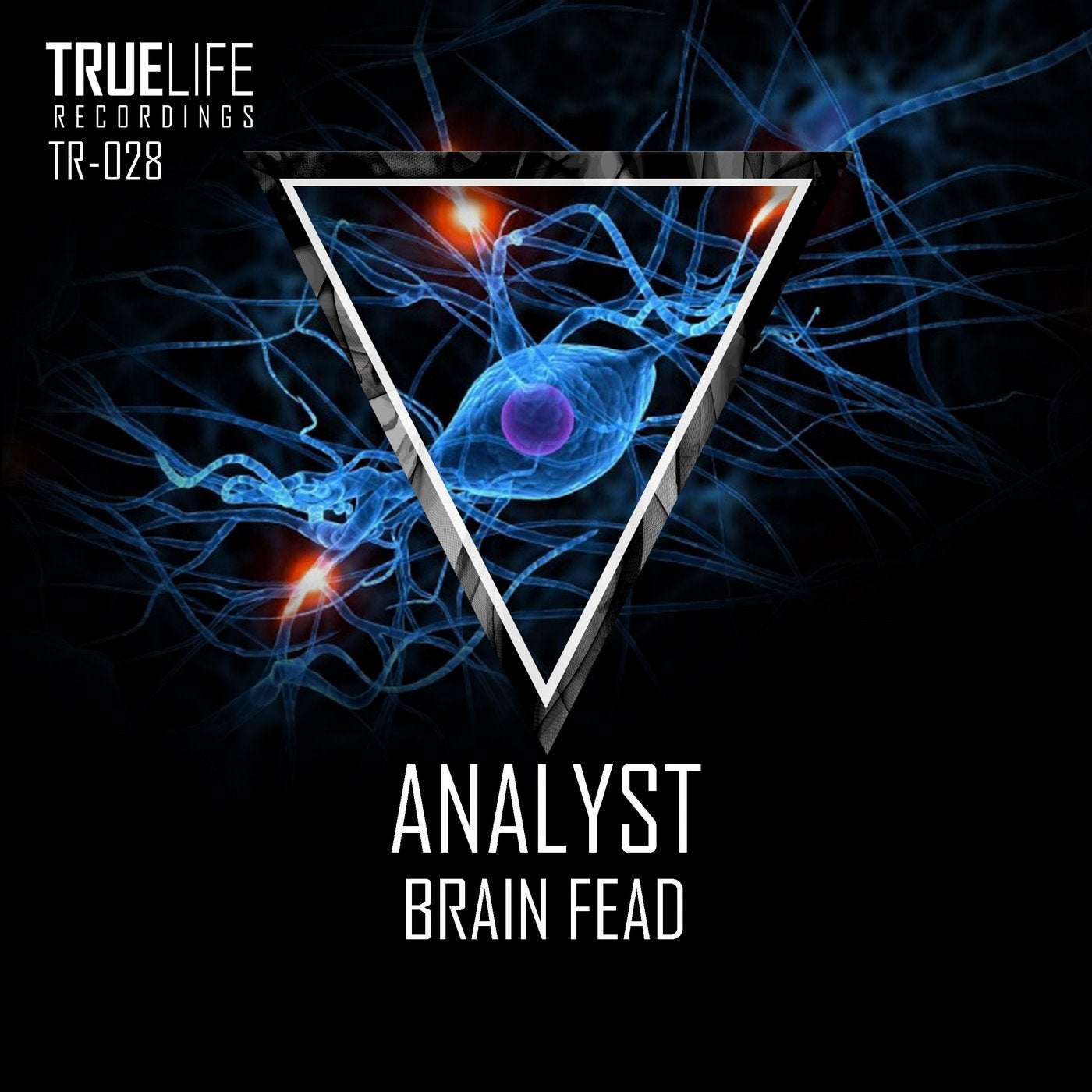 Brain Fead