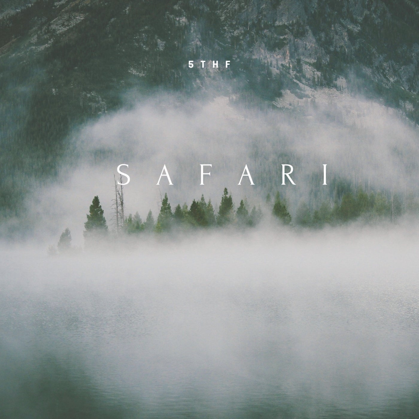 Safari